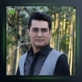 آهنگ گلچین 32 از اصغر باکردار