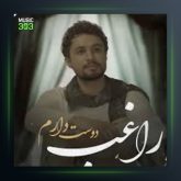 آهنگ دوست دارم از راغب