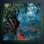 آهنگ خه لات از عادل نادری