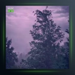 آهنگ زولفی په‌ریشان از حسن درزی