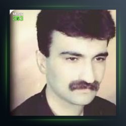 آهنگ اسرین از حمید حمیدی