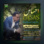 آهنگ احساس از فريبرز سليمى