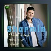 آهنگ احساس عاشقی از شارمین