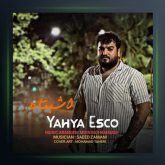 آهنگ اشتباه از یحیی اسکو