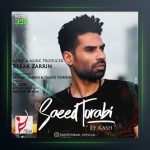 آهنگ ای کاش از سعید ترابی