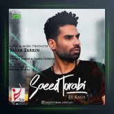 آهنگ ای کاش از سعید ترابی