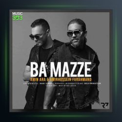 آهنگ بامزه از امین آرا و امیرحسین فرهمند