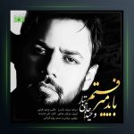 آهنگ باید میرفتم از وحید حاجی تبار