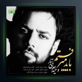 آهنگ باید میرفتم از وحید حاجی تبار