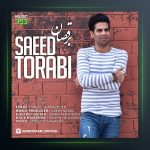 دانلود آهنگ برقصان از سعید ترابی