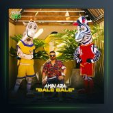 آهنگ بله بله از امین آرا