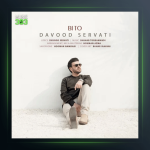 آهنگ بی تو از داوود ثروتی