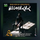 آهنگ بیقرار از محمد قلی پور