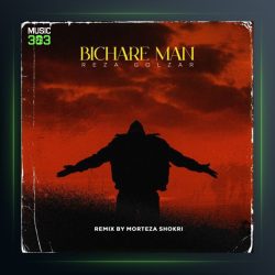 آهنگ بیچاره من از مرتضی شکری و محمدرضا گلزار