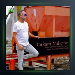 آهنگ ترکم میکنه از آرش عابدی