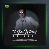 آهنگ تورو میخواد از دکتر هادی