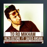 آهنگ تورو میخوام از رضا اسطوره