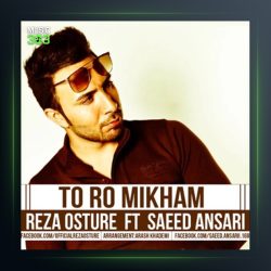 آهنگ تورو میخوام از رضا اسطوره