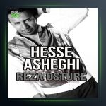 آهنگ حس عاشقی از رضا اسطوره