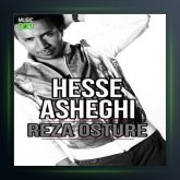 آهنگ حس عاشقی از رضا اسطوره