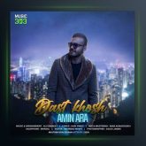 آهنگ دخترک پر کرشمه از امین آرا