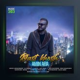 آهنگ دست خوش از امین آرا