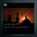 آهنگ دلتنگ کربلا از احسان ناجی
