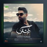 آهنگ دلتنگی از سعید ترابی