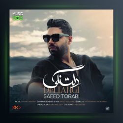 آهنگ دلتنگی از سعید ترابی
