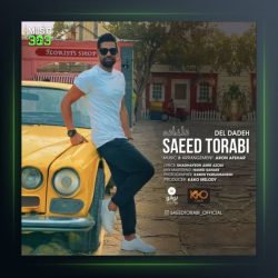 دانلود آهنگ دلداده از سعید ترابی