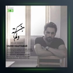 آهنگ دلم تنگته از وحید حاجی تبار
