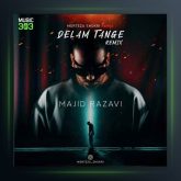 آهنگ دلم تنگه از مرتضی شکری و مجید رضوی