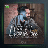 آهنگ دلیلش تویی از فرشید فرح بخش