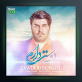 آهنگ دوست دارم از داوود ثروتی