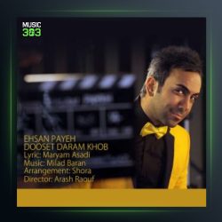 آهنگ دوست دارم خب از احسان پایه