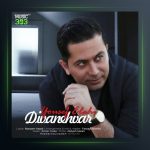 آهنگ دیوانه وار از یوسف الهی