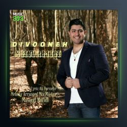 آهنگ دیوونه از شارمین