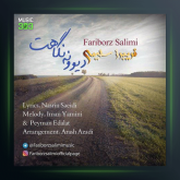 آهنگ دیوونه نگاهت از فريبرز سليمى
