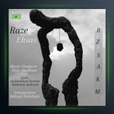 آهنگ راز احساس از رضا شادکام