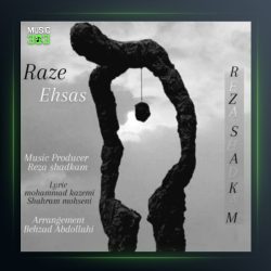 آهنگ راز احساس از رضا شادکام