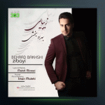 آهنگ زیبایی از بهراد بخشی