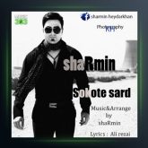 آهنگ سکوت سرد از شارمین