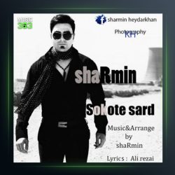 آهنگ سکوت سرد از شارمین