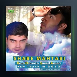 آهنگ شب مهتابی از رضا اسطوره و سعید انصاری