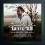 آهنگ شبیه من از وحید حاجی تبار