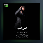 آهنگ شهر شب از فريبرز سليمى