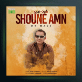 آهنگ شونه امن از دکتر هادی