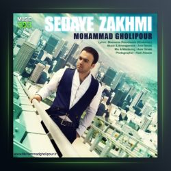 آهنگ صدای زخمی از محمد قلی پور