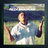 آهنگ صدای سکوت از رضا شادکام