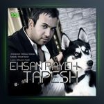آهنگ طپش از احسان پایه